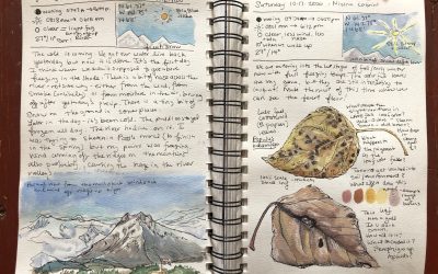 Il Nature Journaling: un viaggio creativo nella natura